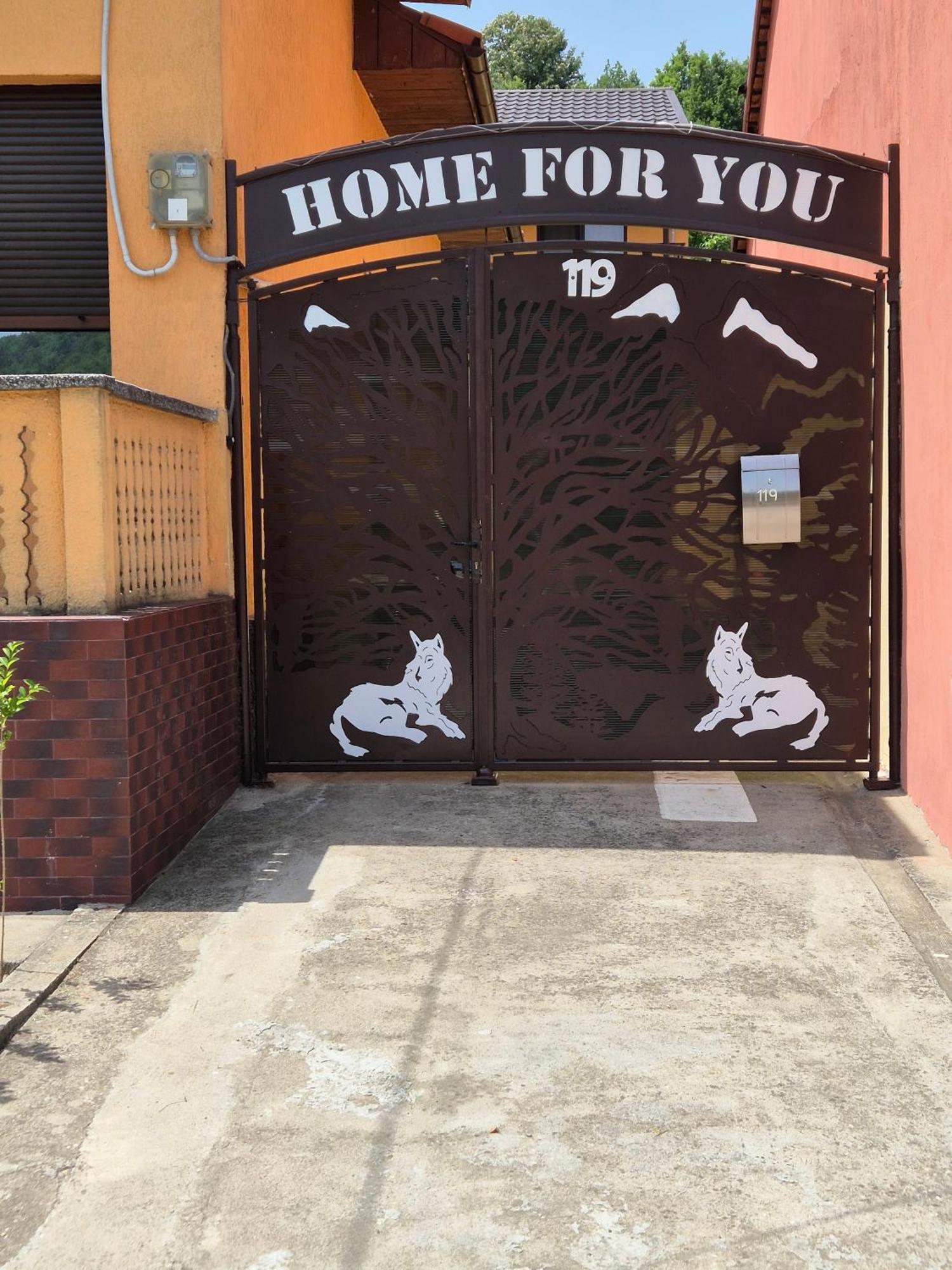 Home For You Ieşelniţa Exterior foto